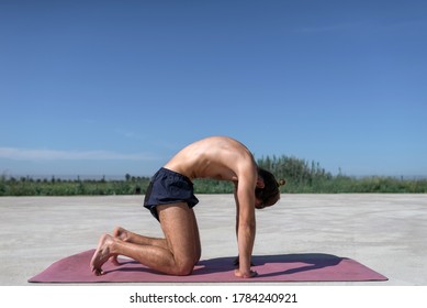 Concept: Sport. Attractive Blond Man With Long Hair Collected With A Beard. Doing Pilates And Yoga Outdoors. Cat Cow Stretch Pose.