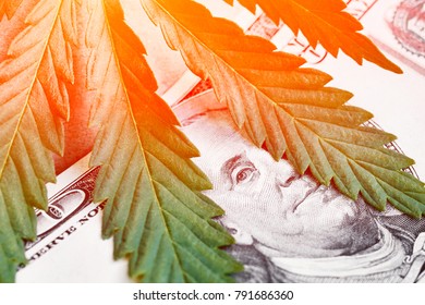 Concept Of The Spread Of Drugs Prohibited By The Law Marijuana, Grass And Other. Sheet Of Cannabis In The Sunlight. Money With Leaves Close. Benjamin Franklin Portrait