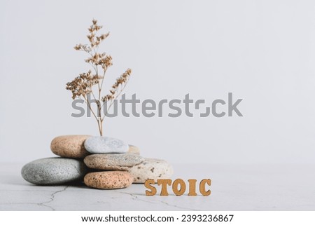 Concept stoicism word made from letters on a background of dried flowers in stones on a gray