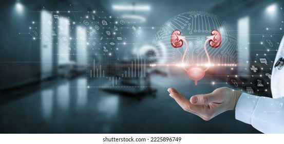 The concept of the study of the genitourinary system using scanning modern.