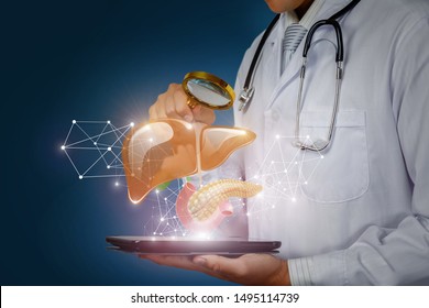 The Concept Study Of The Liver And Pancreas Of The Patient.