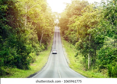 Concept Success Symbol Purpose Of Life.Long Journey.The Path Of Success In The Future.Arrow Pointing Forward.Cars Driven In The Long Run.Two Sides Of The Forest Is Green.