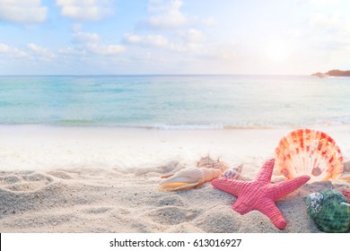 Concept Summertime On Tropical Beach Seaside Stock Photo Edit Now