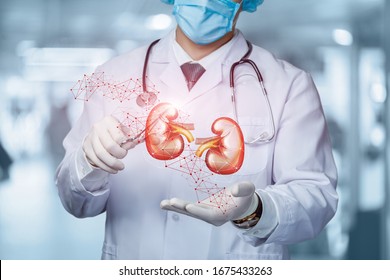 The concept of surgical treatment of the kidneys. - Shutterstock ID 1675433263
