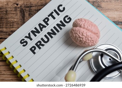 Concept of synaptic pruning write on book isolated on Wooden Table. - Powered by Shutterstock - Get 15% off with code: PIKWIZARD15