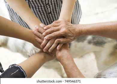 Concept of teamwork, aging society Close-Up business team or family hand showing unity with putting hands together, senior wrinkled hard working hand of old woman place on top of other young people. - Powered by Shutterstock