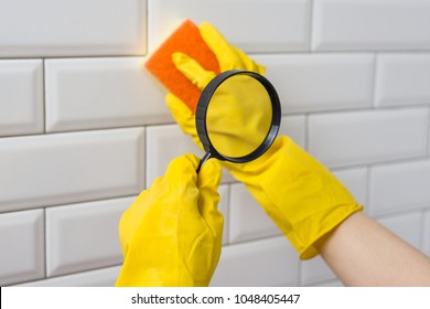 The Concept Of Thorough House Cleaning, Sponge Under A Magnifying Glass