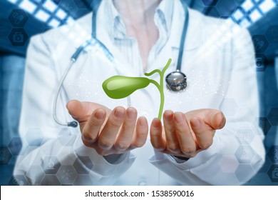 The concept of treatment of the gallbladder. Doctor shows gallbladder on blurred background. - Shutterstock ID 1538590016