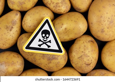 Concept For Unhealthy Or Toxic Substances In Food Like Solanin Or Pesticide Residues With Skull Warning Sign On Raw Potatoes On Black Background