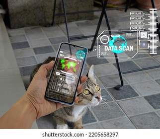 The concept of using artificial intelligence (AI) to find lost or lost pets.