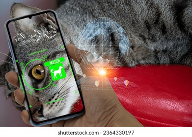 Concept of using artificial intelligence to find lost or lost pets, using search applications
