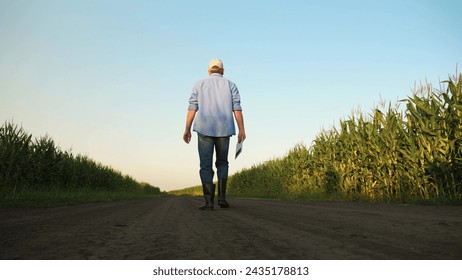 concept using modern technologies corn field, technologies modern production agriculture, farmer engineer walks through corn plantation growing, business farm, agronomist engineer working digital - Powered by Shutterstock