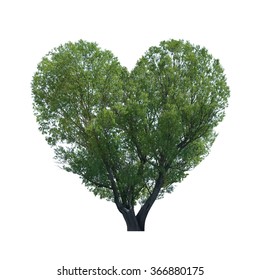 Concept of Valentine's Day. Tree in shape of heart isolated on white background