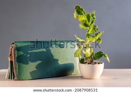 Concept of vegan cactus leather, sustainable leather alternative made from Opuntia Cactus or Nopal cantus plant.  Eco-leather bag and a cactus in a flower pot. 