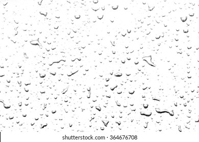 The concept of water drops on a white background