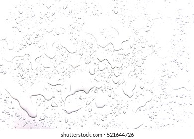 The concept of water drops on a white background - Shutterstock ID 521644726