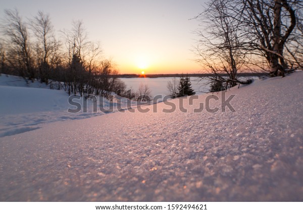 The\
concept of the winter solstice. Sparkling snow in the snowy forest\
and low sun over the horizon. Fabulous winter\
beauty.
