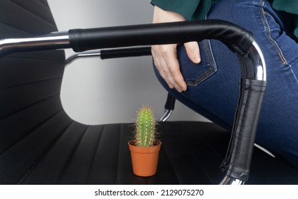 Concept. A woman holds a cactus as a symbol of rectal pain. Varicose veins of the lower intestine. Pain in the rectum, hemorrhoids and pain in the excretory system of the body. Proctology