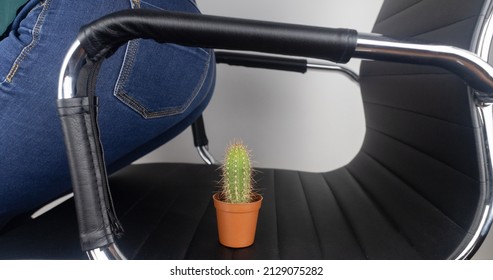 Concept. A woman holds a cactus as a symbol of rectal pain. Varicose veins of the lower intestine. Pain in the rectum, hemorrhoids and pain in the excretory system of the body. Proctology