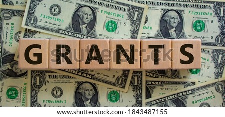 Concept word 'grants' on wooden cubes on a beautiful background from dollar bills. Business concept.
