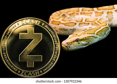 snake coin crypto