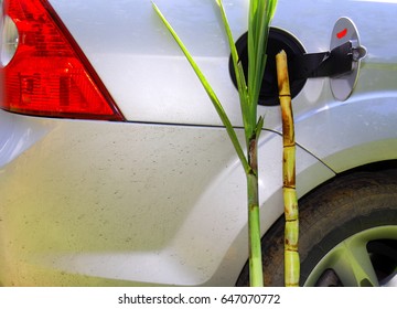 Concepts. Bio Fuel – Ethanol. Leaves And Trunk Of Sugar Cane In The Gas Tank Of A Car   