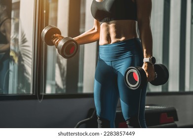 Concepts healthy lifestyle and workout. Bodybuilder, Workout, Fitness muscular body, Fitness, Gym. Fitness asian woman doing exercise and lifting dumbbells weights at sport gym in the morning.