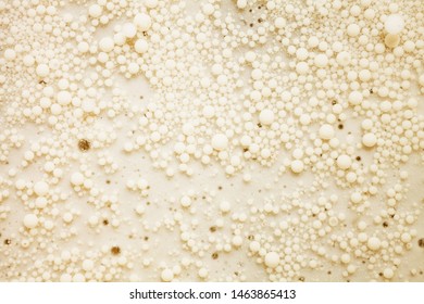 Conceptual Candida Abstract Imitation White Ball Flakes Background Texture