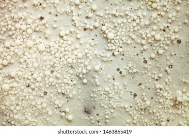 Conceptual Candida Abstract Imitation White Ball Flakes Background Texture