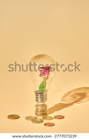 Conceptual composition: financial crisis. Withered flower in a light bulb on a stack of coins on beige background. Metaphor for failed innovation, unprofitable startup, and economic loss.