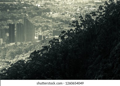 Conceptual Image In Black And White Of The Population Growth Of A Capital City, Marked By A Diagonal Line That Seeks To Compare The Two Scenarios, One Natural And The Other Artificial.