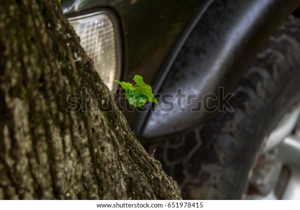 conceptual image of a car\
stuck in a tree