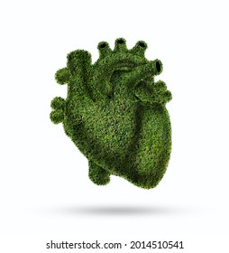 Conceptual image of green grass shaped like human heart, Green grass shaped in human heart. Conceptual image, Humanheart. Respiratory system. Healthy heart. grass human heart, vegetable - Shutterstock ID 2014510541