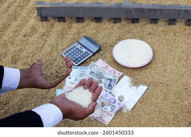 A conceptual image showcasing the relationship between currency and rice grains, symbolizing farming investment and potential earnings in agriculture.