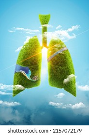 A conceptual image showing a lung-shaped 3D consept 