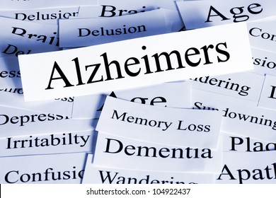 A Conceptual Look At Alzheimers Disease, And Some Of The Problems It Brings.