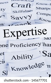 A conceptual look at expertise, ability, knowledge, proficiency, savvy.
