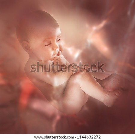 conceptual maternity image with an embryo inside belly during pregnancy