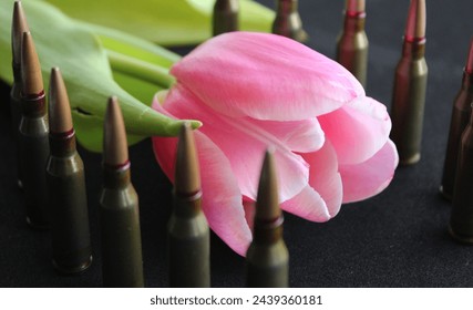 Conceptual photo on the theme of mourning and honoring the memory of war victims. Blooming flower and rows of bullets around it on black surface
