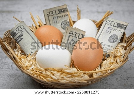 A conceptual photo showing twenty dollar bills in a basket along with eggs. Can be used as either showing a nestegg or overpriced eggs.