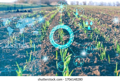 Conceptual Presentation Of The Collection Of Important Data And Analysis Of Plant Growth On The Farm Field To Increase Agricultural Productivity