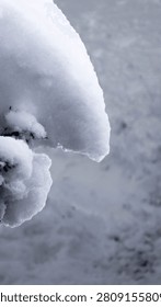 Conceptual winter macro of snow on a branch forming a natural sculpture resembling a human profile with nose and chin
