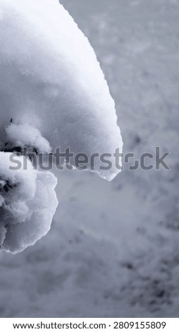 Conceptual winter macro of snow on a branch forming a natural sculpture resembling a human profile with nose and chin