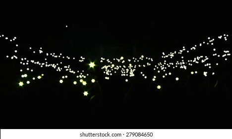 Concert Audience And The Lights From Spectators In The Background