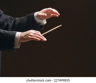 Concert Conductor's Hands With A Baton, Isolated On A Black Background