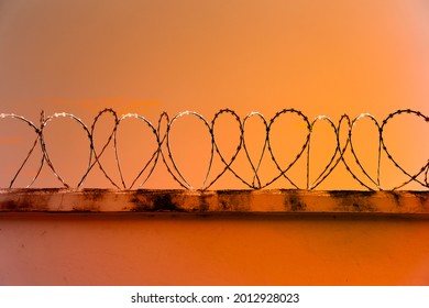 concertina metal security fence installed on a wall and a yellow afternoon sky background