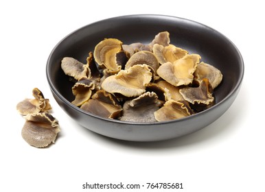 Conch  Meat On White Background