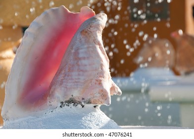 Conch Shell And Fountain In The Bahamas