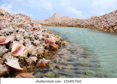 Conch Shell island, Anegada