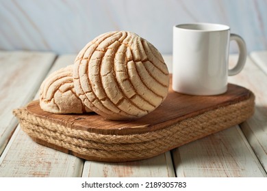 Conchas Pan dulce mexicano panadería tradicional de México